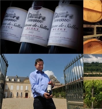 Dégustation de vins de Buzet et visite des chais