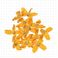 Exposition : "Clarifie le coeur disperse le feu" de Socheata Canto-Aing
