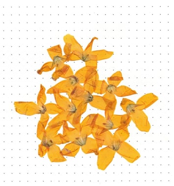 Exposition : "Clarifie le coeur disperse le feu" de Socheata Canto-Aing