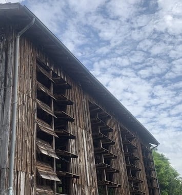 À la découverte d'un ancien séchoir à tabac — De la mémoire agricole au spectacle vivant