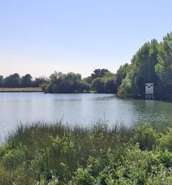 Découverte de la biodiversité au travers d'ateliers nature