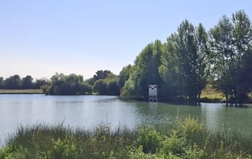 Découverte de la biodiversité au travers d'ateliers nature