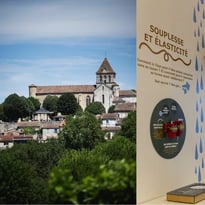 Visite guidée de Mézin et du musée du liège et du bouchon