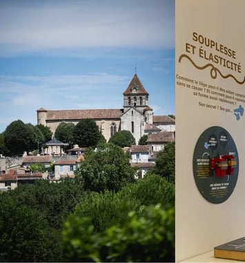 Visite guidée de Mézin et du musée du liège et du bouchon