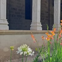 Le jardin du cloître : une renaissance