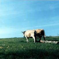 Exposition photos des savoirs oubliés de Sauveterre-la-Lémance